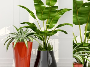 epoxia planters 02 3D Model