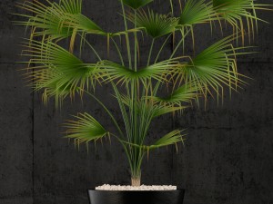 restoration hardware caldera planter 3D Model
