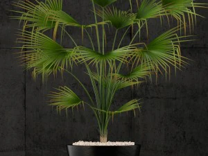 restoration hardware caldera planter 3D Model
