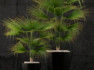 restoration hardware caldera planter 3D Model