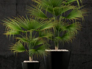 restoration hardware caldera planter 3D Model