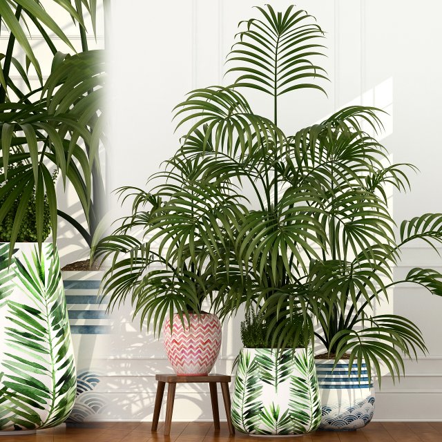 plants collection 51 3D 模型 .c4d .max .obj .3ds .fbx .stl .blend 
