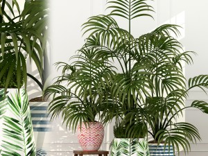 plants collection 51 3D Model