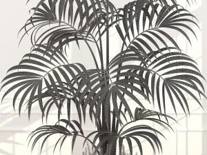 plants collection 51 3D 模型