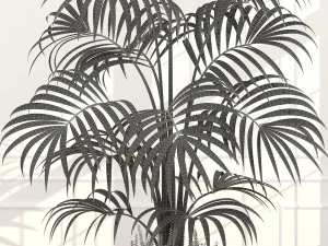 plants collection 51 3D Model