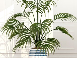 plants collection 51 3D 模型