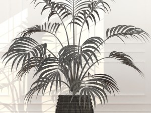 plants collection 51 3D 模型