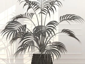plants collection 51 3D Model