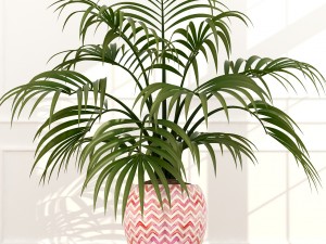 plants collection 51 3D 模型