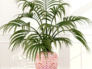 plants collection 51 3D Model