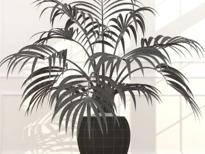 plants collection 51 3D Model