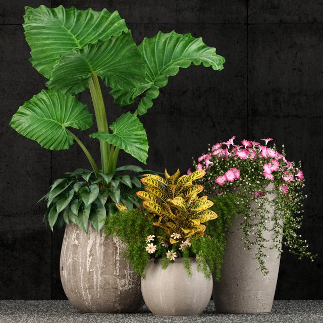 plants collection 52 3D मॉडल .c4d .max .obj .3ds .fbx .stl .blend 