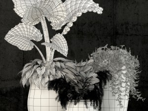 plants collection 52 3D मॉडल