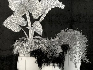 plants collection 52 3D Model