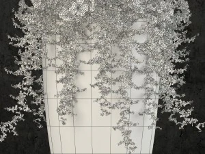 plants collection 52 3D Model