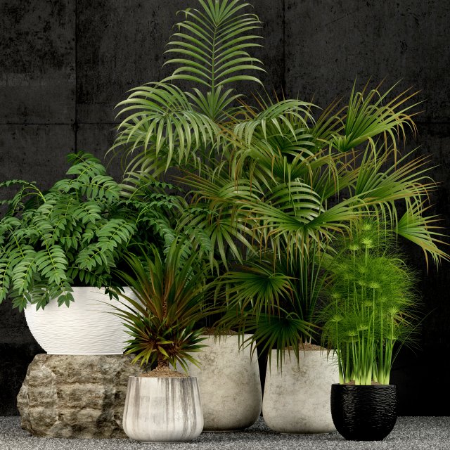plants collection 53 3D Model .c4d .max .obj .3ds .fbx .stl .blend 