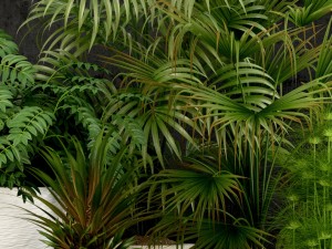 plants collection 53 3D Model