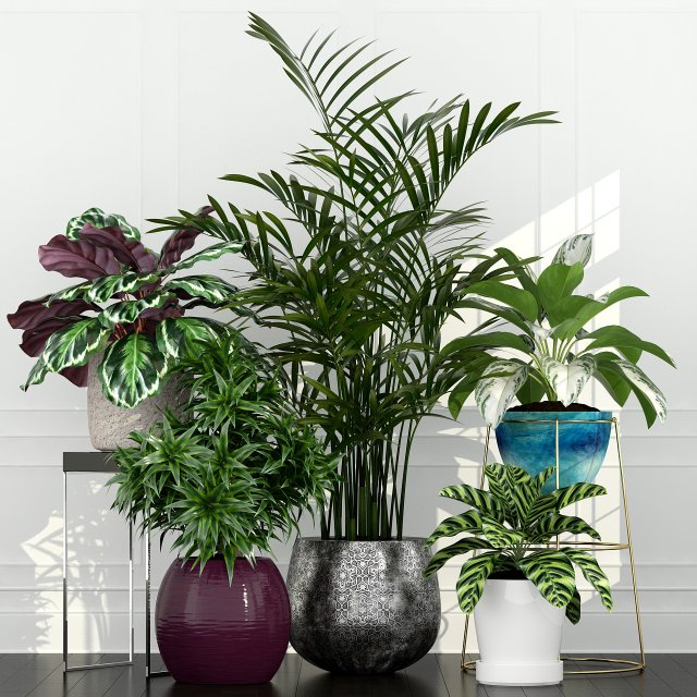 plants collection 54 3D Model .c4d .max .obj .3ds .fbx .stl .blend 