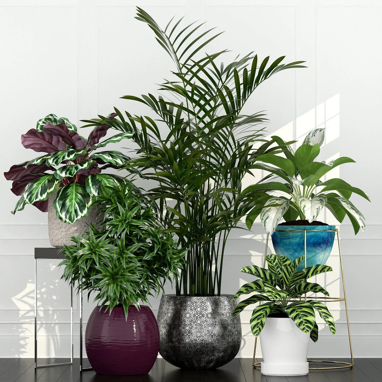 plants collection 54 3D Model .c4d .max .obj .3ds .fbx .stl .blend 