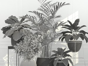 plants collection 54 3D Model