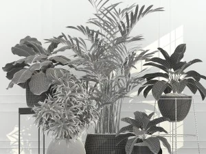 plants collection 54 3D Model