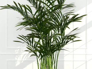 plants collection 54 3D Model