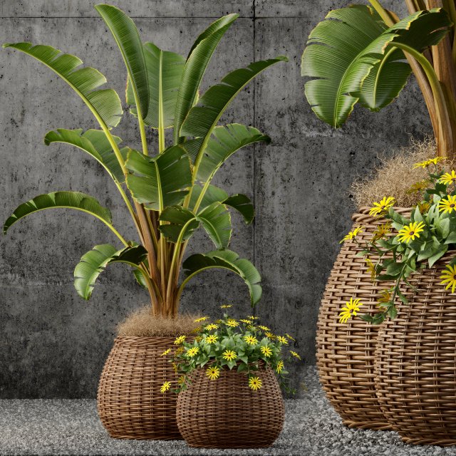 plant 54 plants collection 55 3D मॉडल .c4d .max .obj .3ds .fbx .stl .blend 
