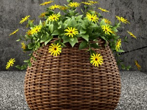 plant 54 plants collection 55 3D मॉडल