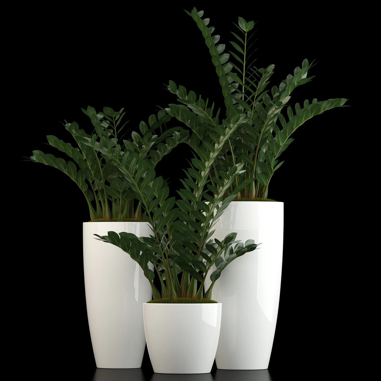 plants collection 56 3D Model .c4d .max .obj .3ds .fbx .stl .blend 