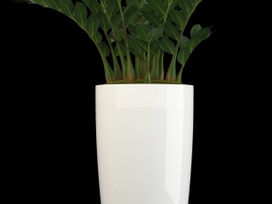plants collection 56 Model 3D