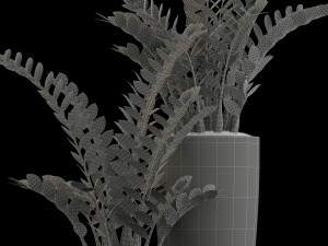 plants collection 56 Model 3D