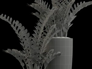 plants collection 56 3D Model