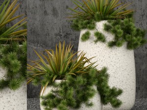 plants collection 57 3D Model