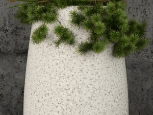 plants collection 57 Model 3D