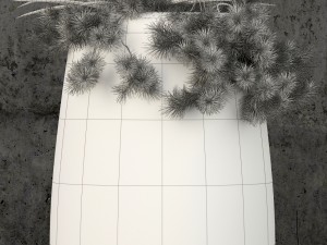 plants collection 57 Model 3D