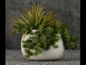 plants collection 57 Model 3D