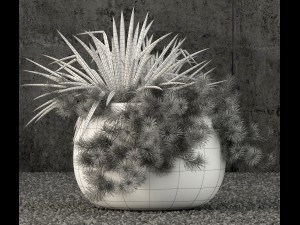 plants collection 57 Model 3D