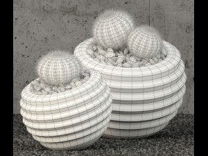 plants collection 58 Modelo 3D