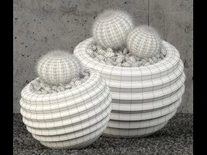 plants collection 58 3D Model