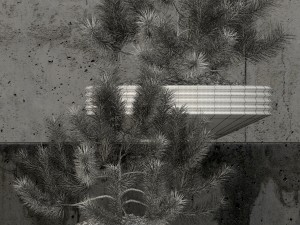 plants collection 58 Modelo 3D