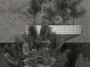 plants collection 58 3D Model