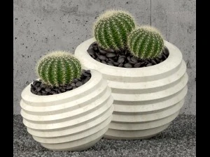 plants collection 58 3D Model