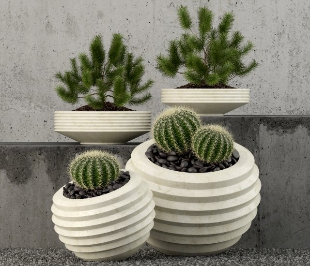 plants collection 58 Modelo 3D .c4d .max .obj .3ds .fbx .stl .blend 