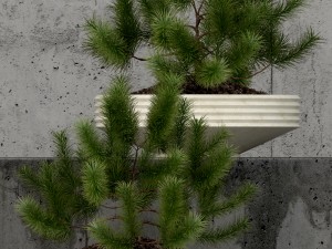 plants collection 58 Modelo 3D