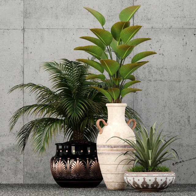 plants collection 59 3D Model .c4d .max .obj .3ds .fbx .stl .blend