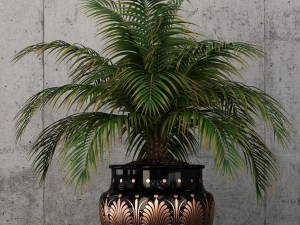 plants collection 59 3D Model