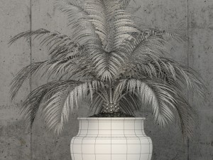 plants collection 59 3D Model