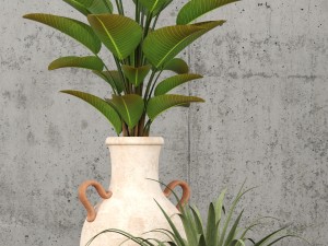 plants collection 59 3D Model