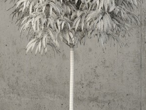 plants collection 60 Modèle 3D