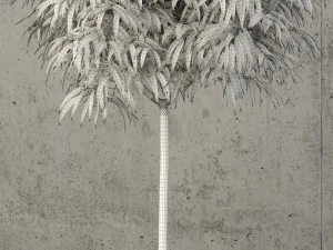 коллекция растений 60 3D Модель